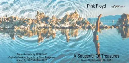 Pink Floyd - A Saucerful Of Treasures (2012)