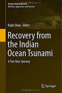 Recovery from the Indian Ocean Tsunami: A Ten-Year Journey (Disaster Risk Reduction) (Repost)