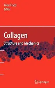 Collagen: Structure and Mechanics