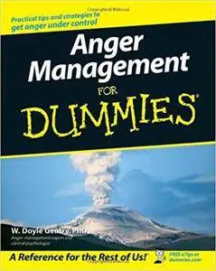 Anger Management For Dummies (US Edition) [Repost]