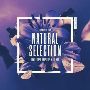 Loopmasters Natural Selection MULTiFORMAT