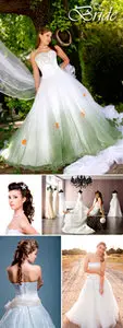 Stock Photo - Bride