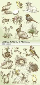 Vintage spring animals & nature