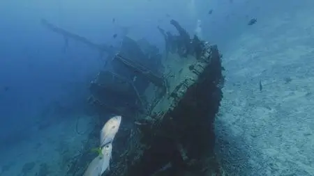Reef Wrecks (2017)