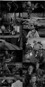 Good-bye, My Lady (1956)