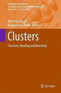 Clusters: Structure, Bonding and Reactivity (Challenges and Advances in Computational Chemistry and Physics)
