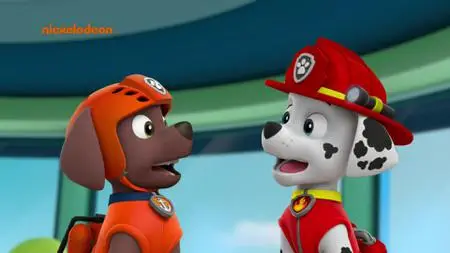 PAW Patrol S05E08