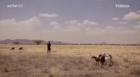 (Arte) L'aide au développement, un cadeau empoisonné ? (2014)