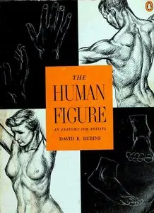 The Human Figure - An Anatomy for Artists