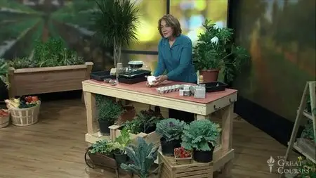 TTC Video - Food Gardening for Everyone