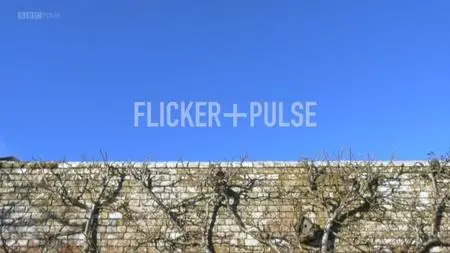 BBC - A Year in an English Garden: Flicker and Pulse (2017)