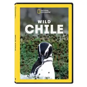 NG. - Wild Chile: Ends Of The Earth (2018)