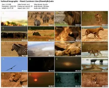 National Geographic - Planet Carnivore: Lion (2007)
