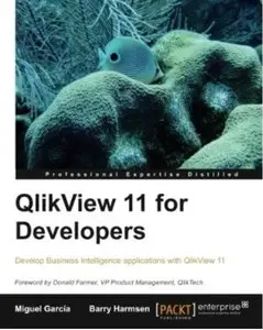 QlikView 11 for Developers [Repost]