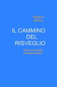 IL CAMMINO DEL RISVEGLIO