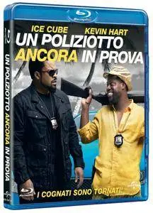 Un poliziotto ancora in prova (2016)