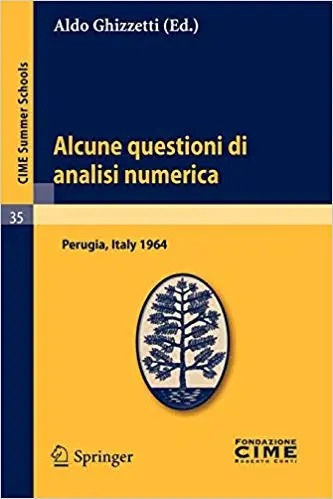 Alcune questioni di analisi numerica: Lectures given at a Summer School of the Centro Internazionale Matematico Estivo (