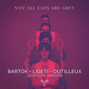 Quatuor Hanson - Not all cats are grey (2021)