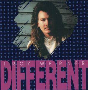 Troy Werner - Different (1990)