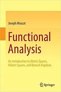 Functional Analysis: An Introduction to Metric Spaces, Hilbert Spaces, and Banach Algebras Ed 201
