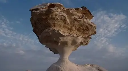 (Fr2) Afrique sauvage (2013)