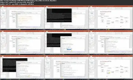 Public Key Cryptography From Scratch In Python