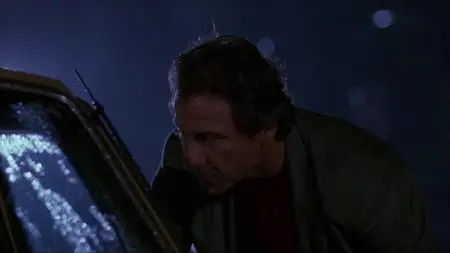 Bad Lieutenant (1992)