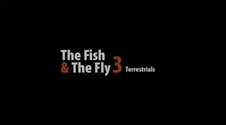 The Fish & The Fly 3 Terrestrials [repost]