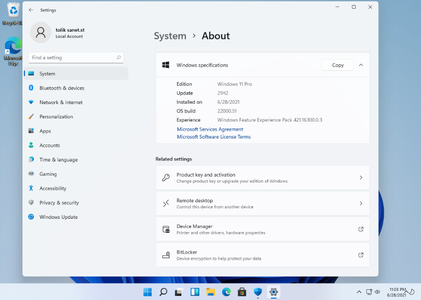 Windows 11 Insider Preview v10.0.22000.51 19in1 (x64) Multilingual