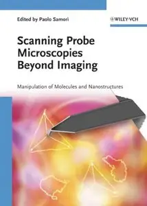 Scanning Probe Microscopies Beyond Imaging (repost)