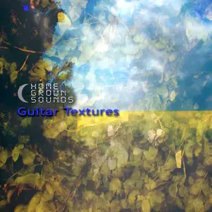 Homegrown Sounds Guitar Textures MULTiFORMAT