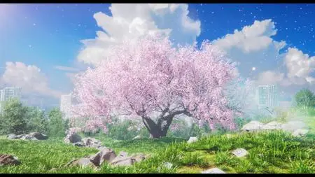 My Dearest, Like a Cherry Blossom (2022)