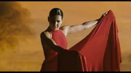 Flamenco Flamenco (2010)