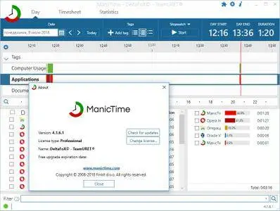 ManicTime Pro 4.1.6.1 Multilingual