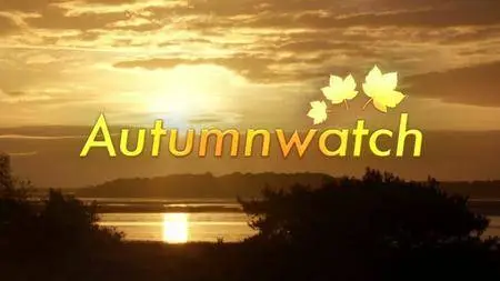 BBC - Autumnwatch (2016)