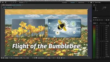 After Effects Apprentice: 01 CC Pre-Roll