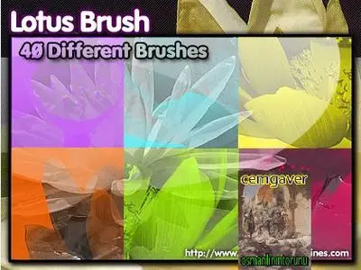 Lotus Brushes