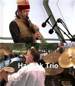 Hadouk Trio - Paris Jazz Festival (2015) [HDTV 1080p]