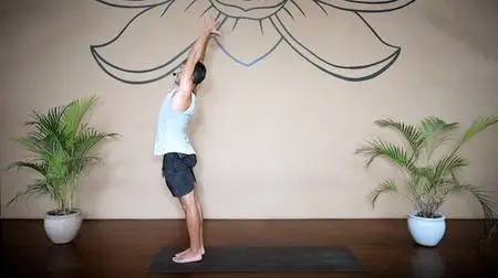 The Collective Yoga - Back to Basics 3 – Sun Salute C