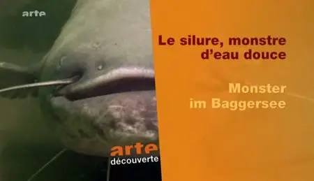 (Arte) Le silure, monstre d'eau douce (2011)