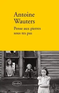 Antoine Wauters, "Pense aux pierres sous tes pas"