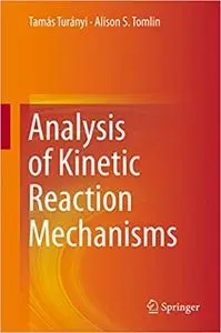 Analysis of Kinetic Reaction Mechanisms (Repost)