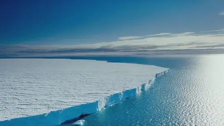 IMAX. To the Arctic / IMAX. Арктика (2012) 