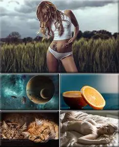 LIFEstyle News MiXture Images. Wallpapers Part (1346)