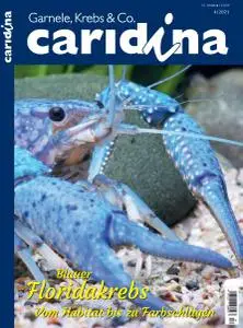 Caridina - Nr.4 2021