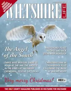 Wiltshire Life - December 2016