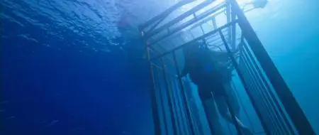 In the Deep (2016)