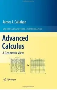 Advanced Calculus: A Geometric View [Repost]