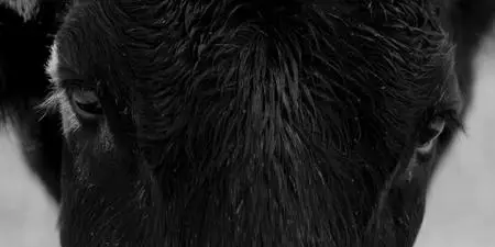 Perpetual Grace LTD S01E07