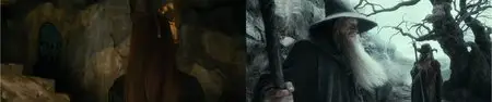 The Hobbit: The Desolation of Smaug (2013)
